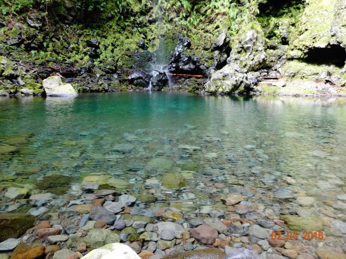 Stay In Madeira ฟุงชาล ภายนอก รูปภาพ