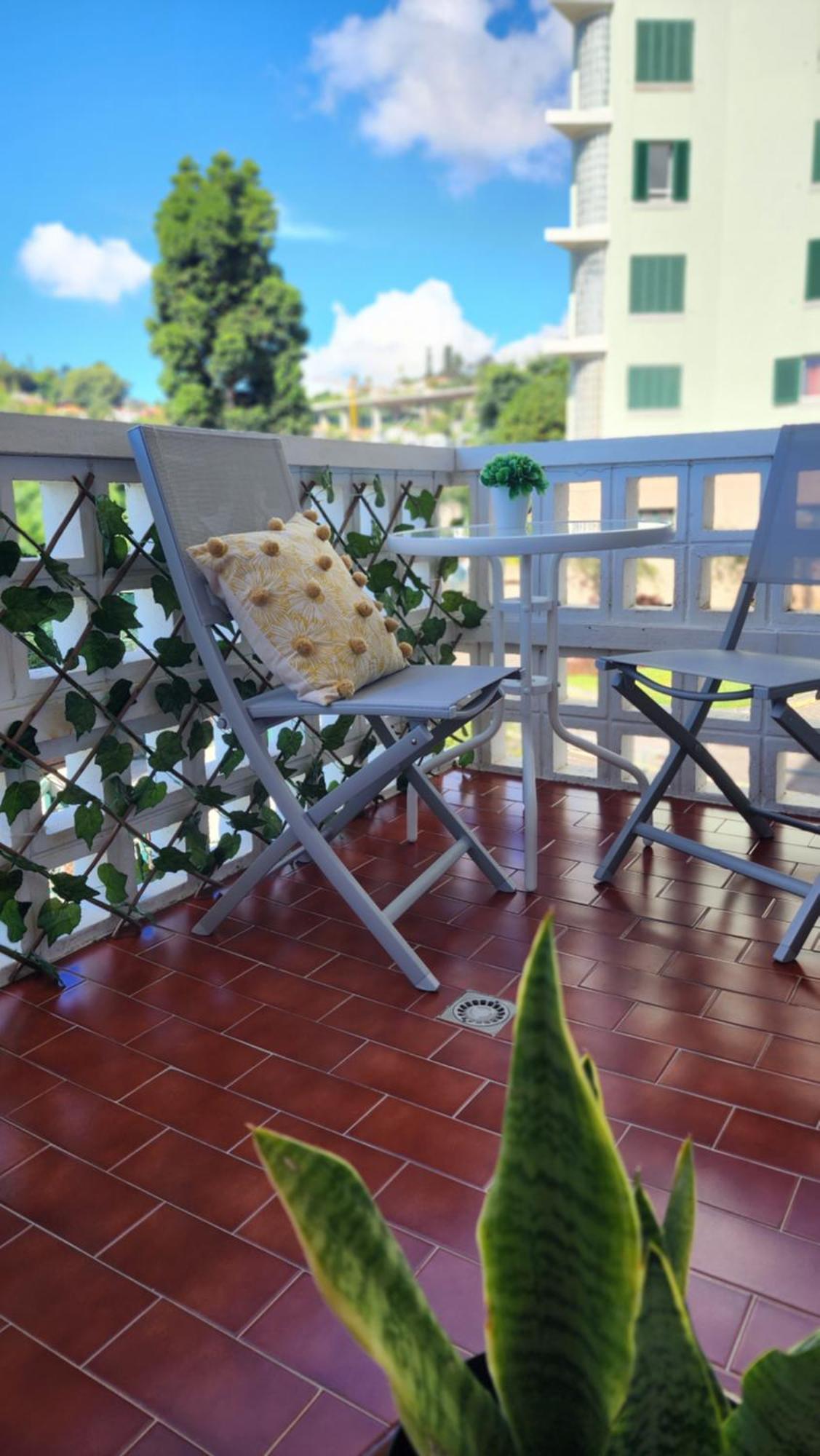 Stay In Madeira ฟุงชาล ภายนอก รูปภาพ